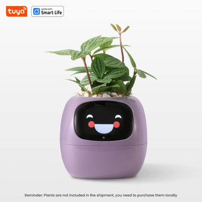 Smart Plant